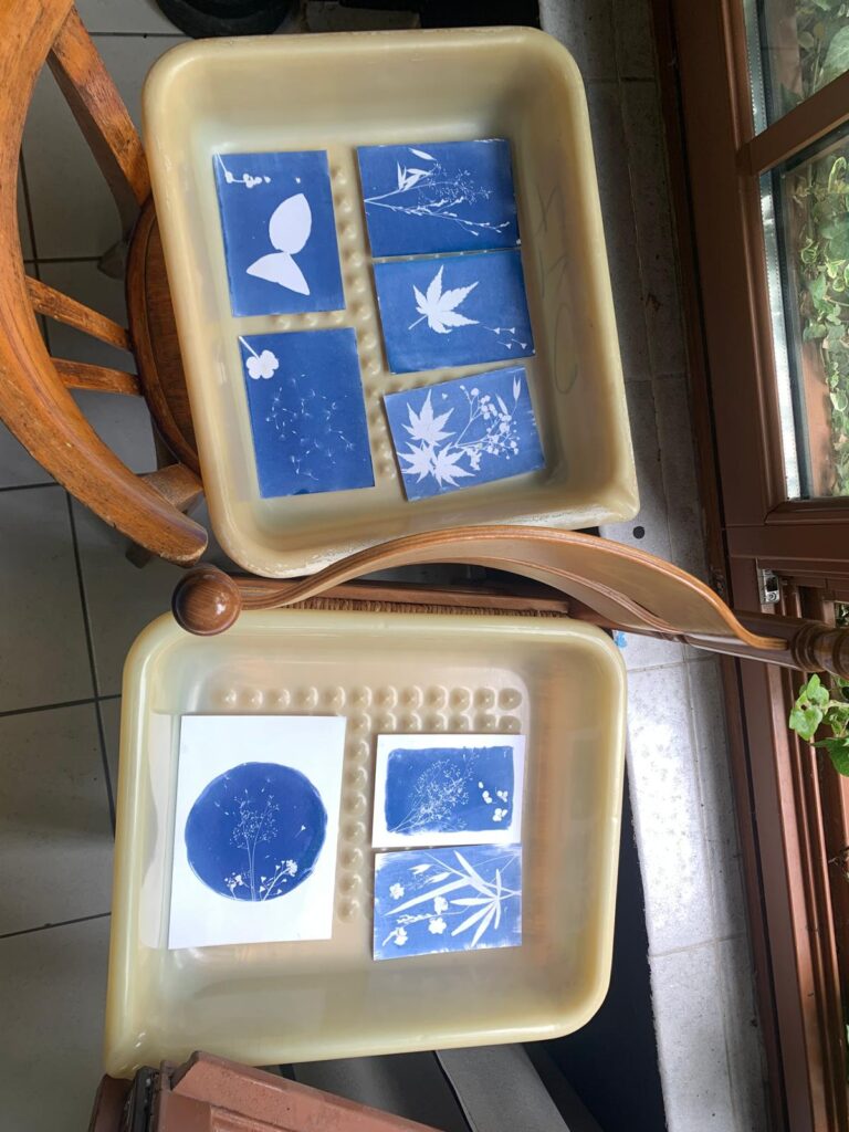 résultat cyanotype