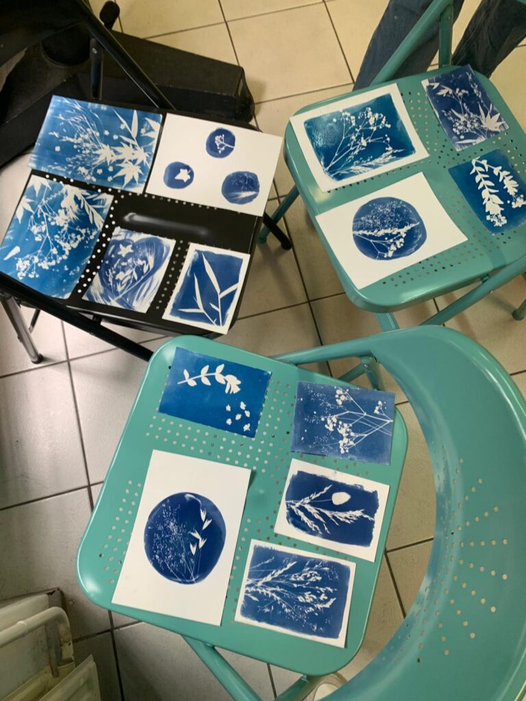 résultat cyanotype