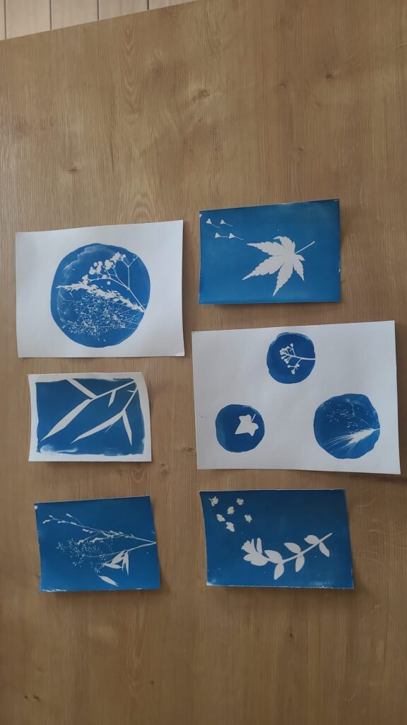 résultat cyanotype